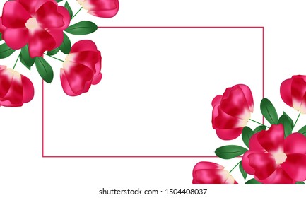 pink rose with pink Decorative frame background vector 