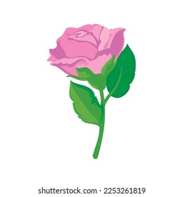 pink rose design over white