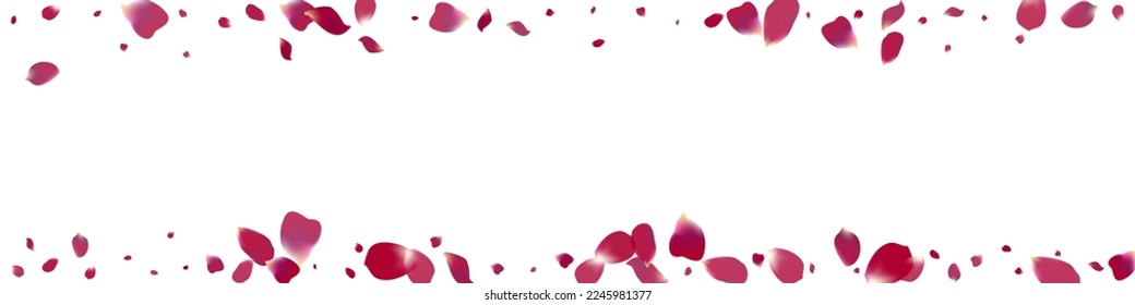Fondo Panorámico Blanco Del Vector De Caída Rosa Rosa Rosa Rosa Rosa. Afiche de cerezas de verano. Hermoso Diseño De Caída De Flores. Cartel de Japón de Purple Petal.