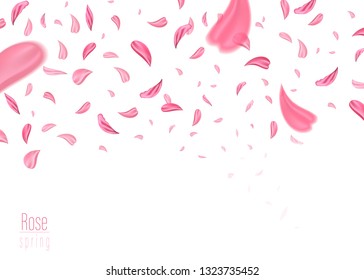 Pink rose falling petals background. Vector illustration EPS10