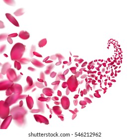 Pink rose falling petals on transparent background. 