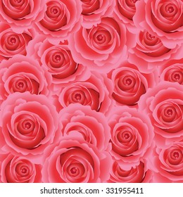 Pink rose floral background.  Vector illustration