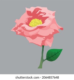 Pink Rose Flow with Stem