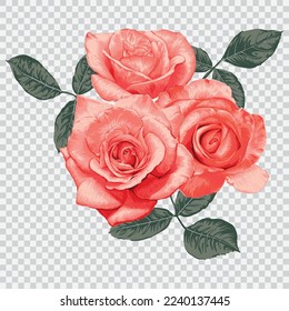 Ilustraciones vectoriales de dibujos de flores rosadas. Elemento estampado a mano con flores botánicas.