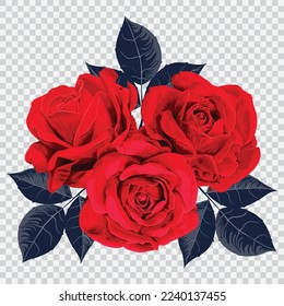 Pink rose flower drawing vector illustrations. Botanical floral hand drawn element.