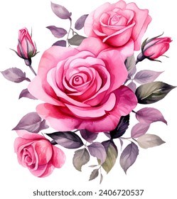 Pink Rose Flower isolated watercolor illustration painting