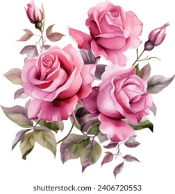 Pintura de acuarela aislada de flor rosa rosa