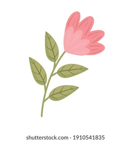 pink rose flower and leafs color decoration vector illustration design