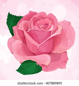  Pink rose flower on white background