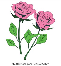 Pink Rose flower with raindrops on background pink roses flowers. Nature. Pink vector roses and green leave elements set isolated on the white background for floral decoration