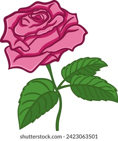 Flor rosa rosa con Stem. Ilustración vectorial de una bella rosa con hojas verdes. Diseño floral para la impresión en ropa, tarjetas, invitaciones de boda, felicitaciones, textos botánicos