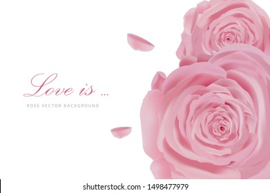 pink rose flower vector background