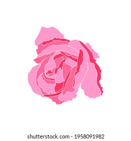 Pink rose flower. Vector illustration.