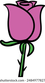 Pink rose flower vector illustration. Flower drawing