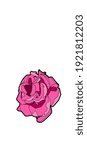 Pink rose flower vector image