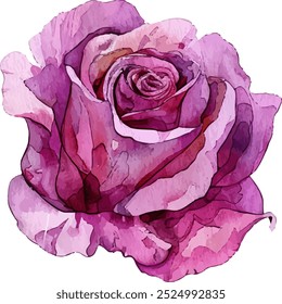 pink rose flower in watercolor style clip art