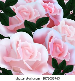 
Pink rose flowers with green leaves. Design element