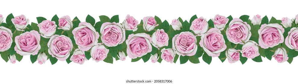 Pink rose flowers and leaves isolated on white background. Horizontal seamless background with roses. Vector illustration.