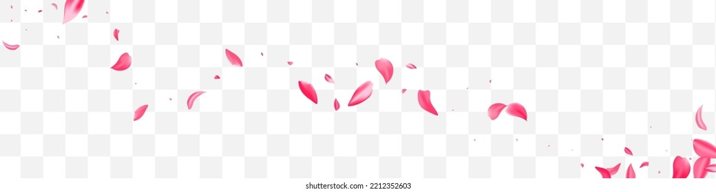 Pink Rose Fly Vector Transparent Panoramic Background. Japan Flower Backdrop. Delicate Floral Beauty Texture. Red Peach Blur Poster.