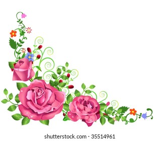 pink rose frame