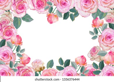 Pink rose frame vector illustration