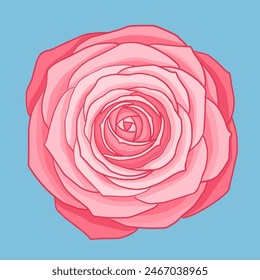 Pink rose front view simplified art illustration