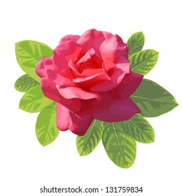 Pink rose with green leaf, vector format