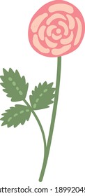 Pink rose with green leaves in flat style. Vector illustration for design of cards with 8 March, wedding and birthday, typography, prints, websites