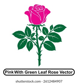 Pink Rose with Green Leaves Vector, Elegant Floral Illustration
