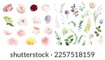 Pink rose, hydrangea, dahlia, white peony, magnolia, ranunculus, spring garden flowers, eucalyptus, greenery, fern, vector design big set. Wedding summer collection. Elements are isolated and editable