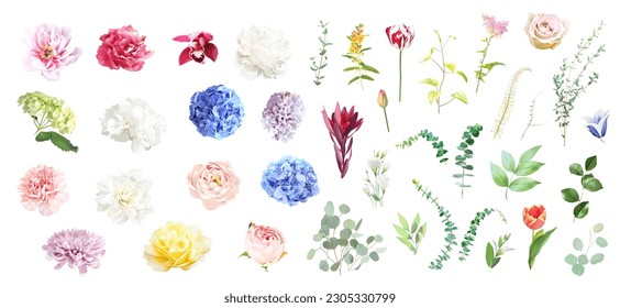 Pink rose, hydrangea, dahlia, white peony, orchid, ranunculus, spring garden flowers, eucalyptus, greenery, fern, vector design big set. Wedding summer collection. Elements are isolated and editable