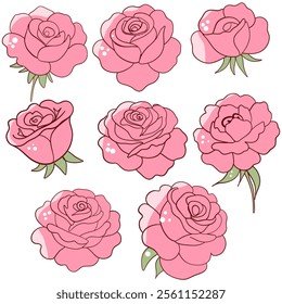 Pink Rose Illustrations with Delicate Details