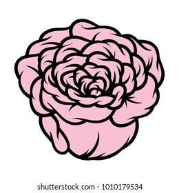 Pink rose isolated on white background. Vector illustration.