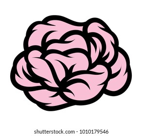 Pink rose isolated on white background. Vector illustration.