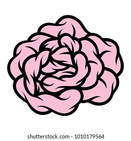 Pink rose isolated on white background. Vector illustration.