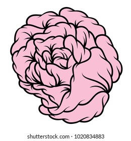 Pink rose isolated on white background. Vector illustration.