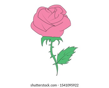 Pink rose isolated on white background. Vector illustration.