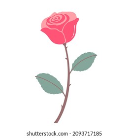 Pink rose with leaves on white background. Design element.