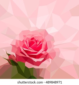 Pink rose in low poly style. Vector illustration