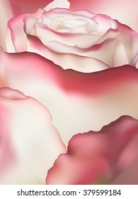 Pink rose macro. EPS 10 vector file included