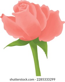 Pink rose makes you feel calm and relaxed. People always give it to someone they love. 