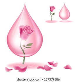 A pink rose and  rose oil. Dripping of rose essential oil.  File contains transparencies and Gradient Mesh. File is layered with global colors.