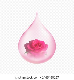 Pink rose oil drop. flower parfume essence symbol. Aroma spa concept. Vector illustration for Your design.