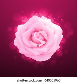 Pink rose on a pink background. 3d illustration. EPS10 vector