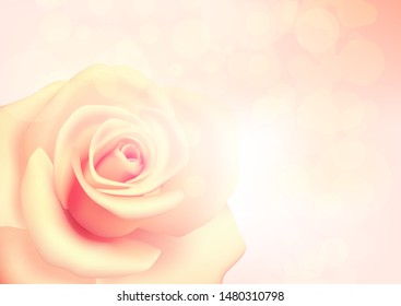 Pink rose on a pink background with bokeh. Vector illustration.
