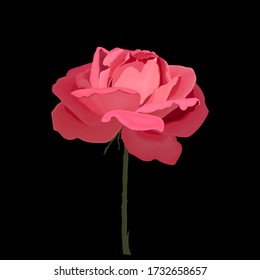 バラ 花びら 黒背景 のイラスト素材 画像 ベクター画像 Shutterstock