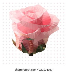 Pink rose on white background