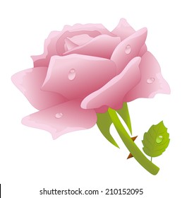 pink rose on a white background,vector illustration