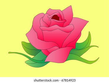 Pink Rose on Yellow