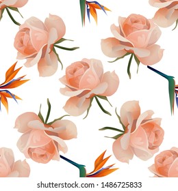 Pink Rose. Orange Strelitzia Reginae. Vector illustration. Seamless background pattern. Floral botanical flower. Wild leaf wildflower isolated. Exotic tropical hawaiian jungle. Fabric wallpaper.